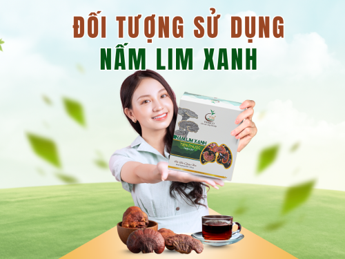 Đối tượng sử dụng nấm Lim Xanh: Ai nên dùng, ai nên tránh?
